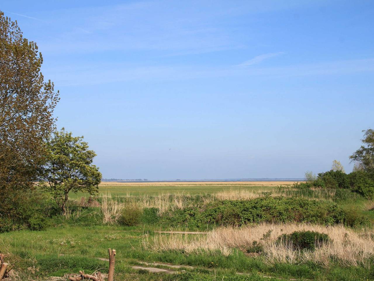 Ferienhaus Beljan in Althagen, Ahrenshoop