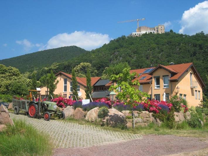 B&B für 2 Personen, mit Terrasse und Garten sowie Ausblick in Neustadt an der Weinstraße