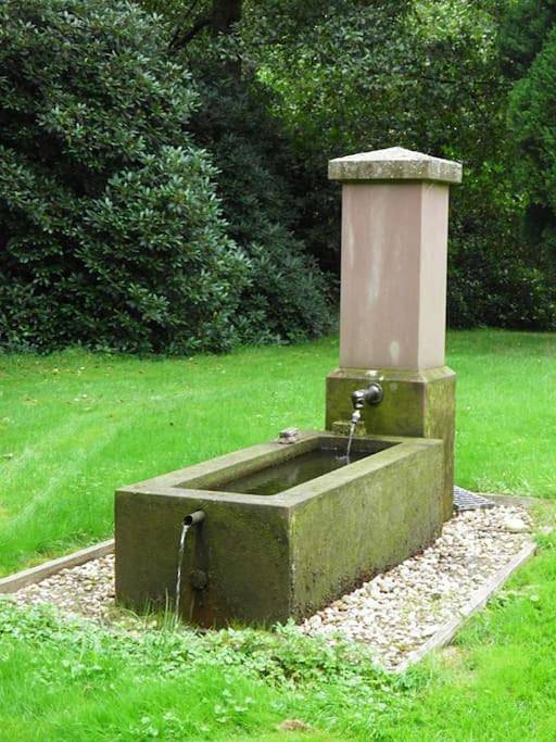 Gîte pour 6 personnes, avec vue sur le lac ainsi que vue et terrasse à Saint-Quirin - 4