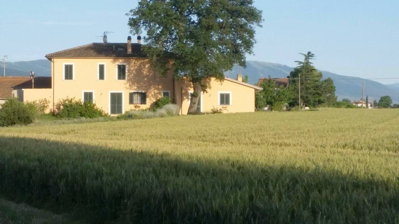 B&B Le Rose in Spello, Perugia e dintorni