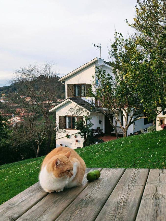 Casa de vacaciones para 6 personas, con jardín y vistas - 1