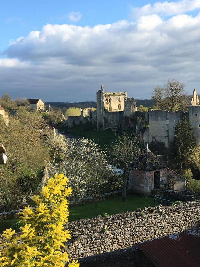 Gîte pour 2 personnes, avec jardin et vue à Angles-sur-l'Anglin - 3