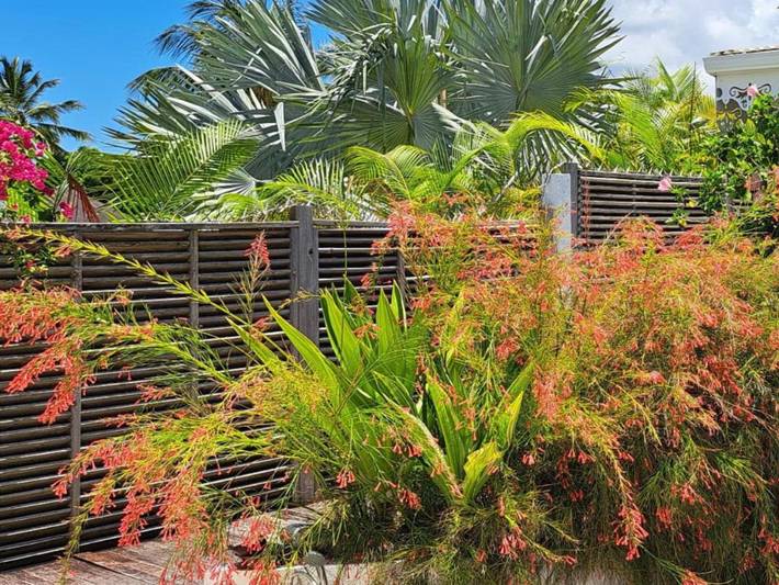 Location de vacances pour 4 personnes, avec piscine et jardin, animaux acceptés dans Anse Tarare - 2