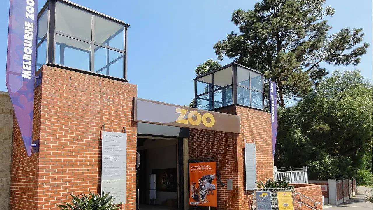 Apartamento vacacional entero, Apartamento de vacaciones para 3 personas in Melbourne, Moonee Valley City