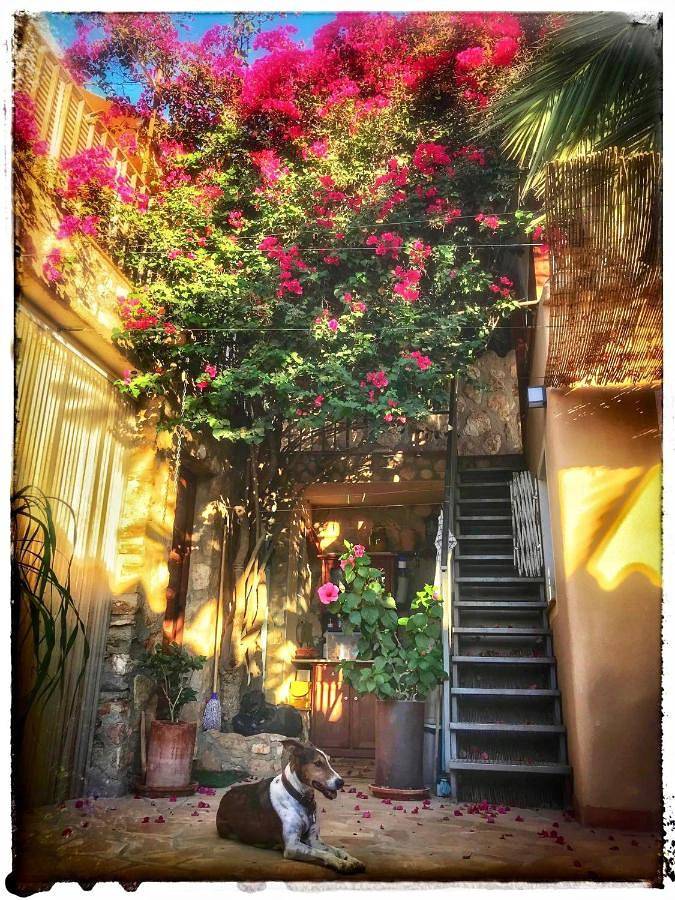 Apartamento vacacional entero, Tinyhouse im Patio einer romantischen Finca in Cuevas del Almanzora, Costa de Almería