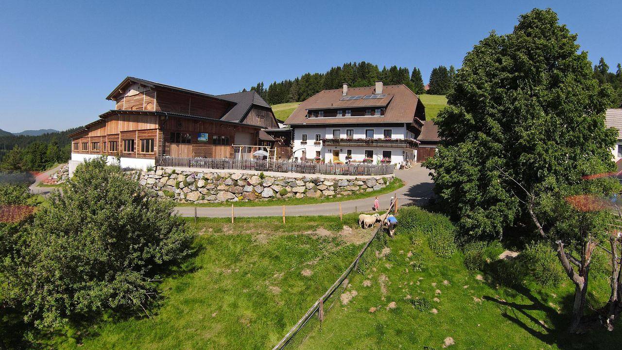 Ganze Ferienwohnung, Ferienwohnung für 6 Personen in Sankt Lambrecht in St. Lambrecht, Westliche Obersteiermark
