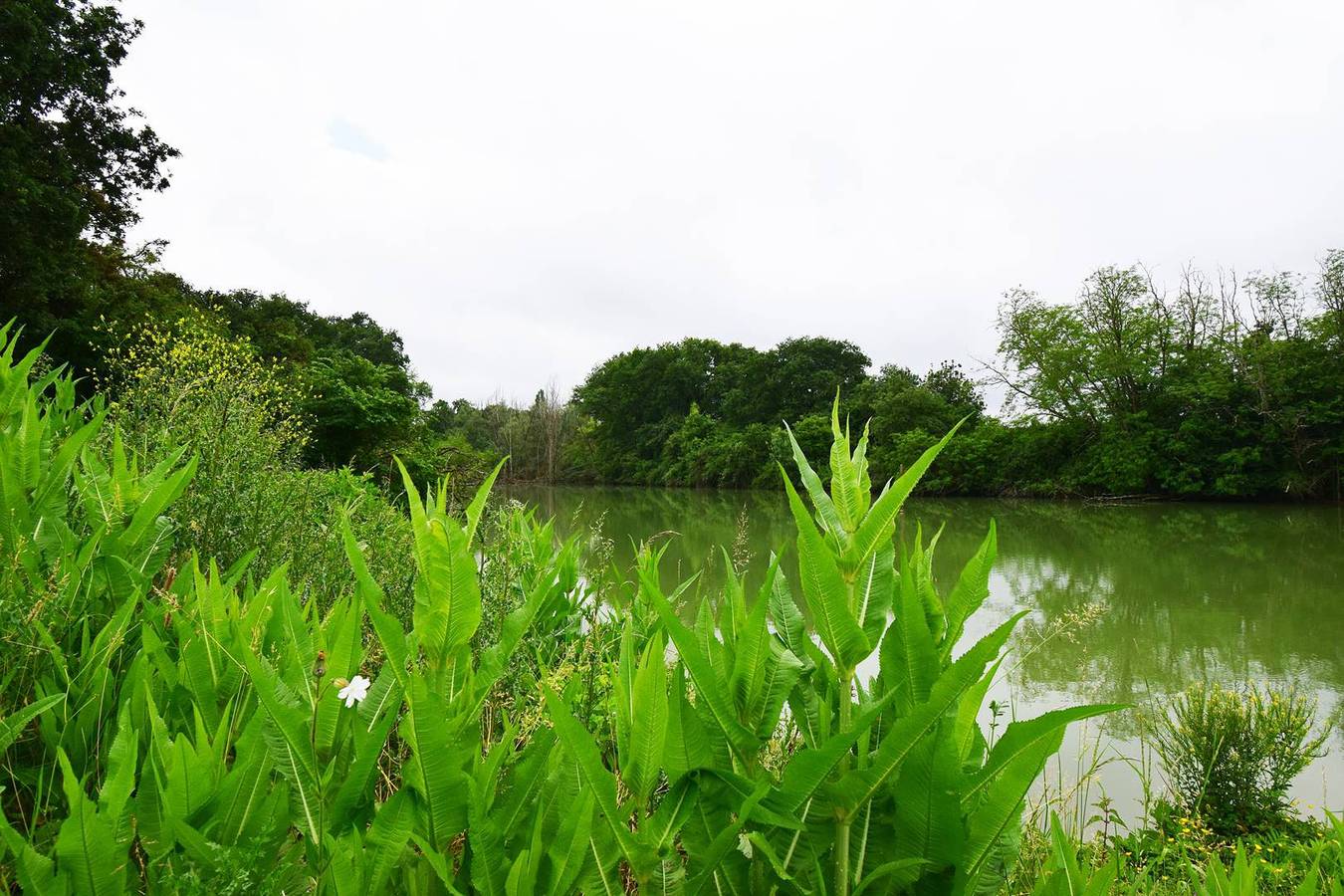 Gîte Sandra pour 4 personnes proche du Gers in Lannes, Région de Nérac