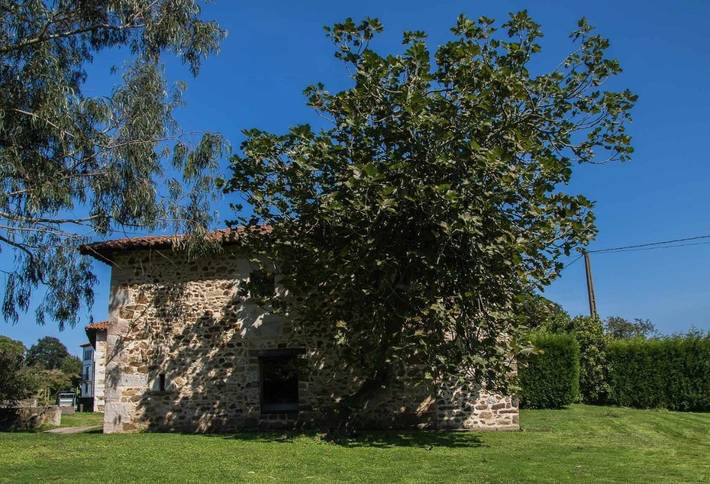Casa rural para 7 personas, con vistas y jardín, Se admiten mascotas en Ribadesella - 4