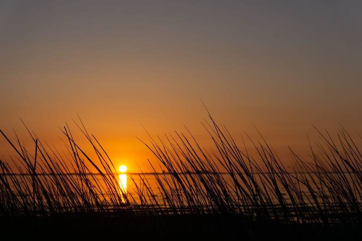 Ferienhaus für 4 Personen, mit Terrasse und Ausblick sowie Garten in Westerland (Niederlande) - 2