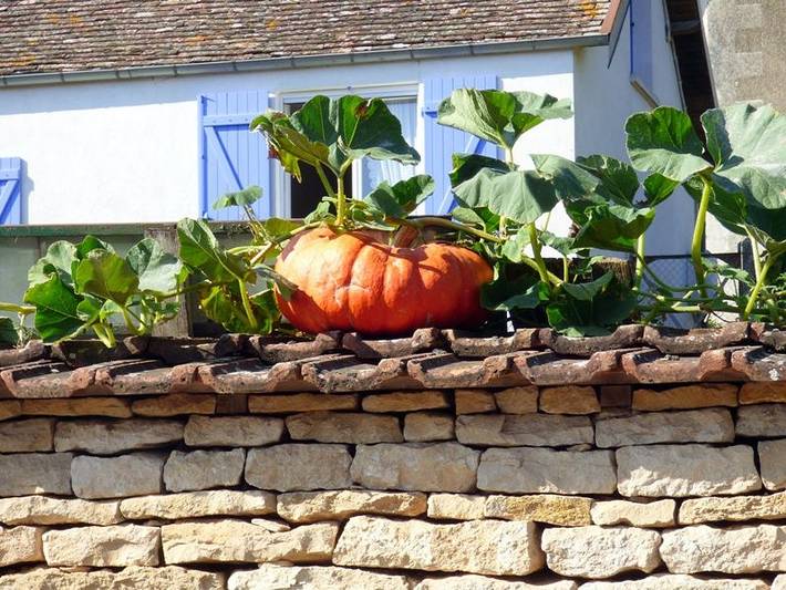 Gîte pour 2 personnes, avec jardin, animaux acceptés dans Parc national de forêts - 2