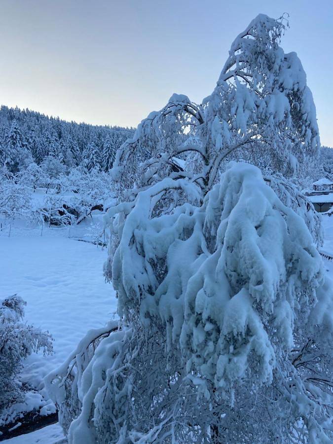 Gîte pour 6 personnes, avec vue et jardin à Weiler-Simmerberg - 4
