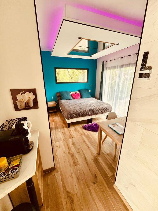 Gîte pour 2 personnes, avec jacuzzi ainsi que piscine et jardin à Aussonne - 4