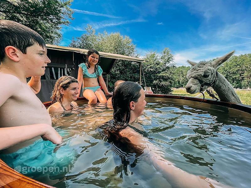 Vakantieboerderij Ermelo in Ermelo, Veluwe