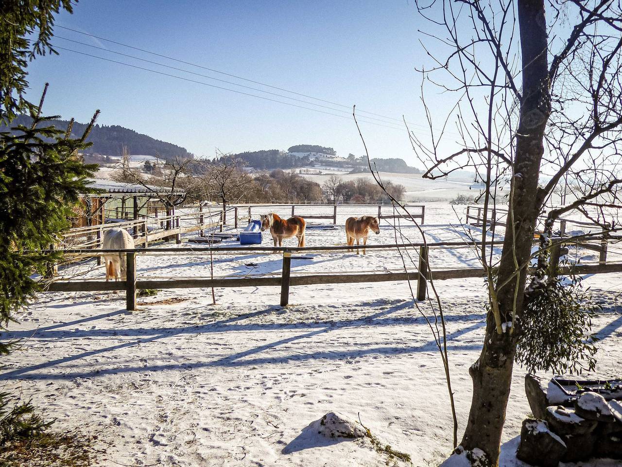 Ganze Ferienwohnung, Ferienwohnung Vor der Stephanskuppe - Ferienwohnung in Sinntal, Rhön-Hessen