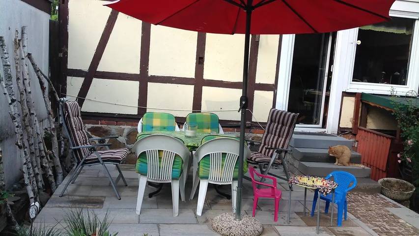Ferienhaus für 6 Personen, mit Terrasse und Garten, mit Haustier im Harz - 3