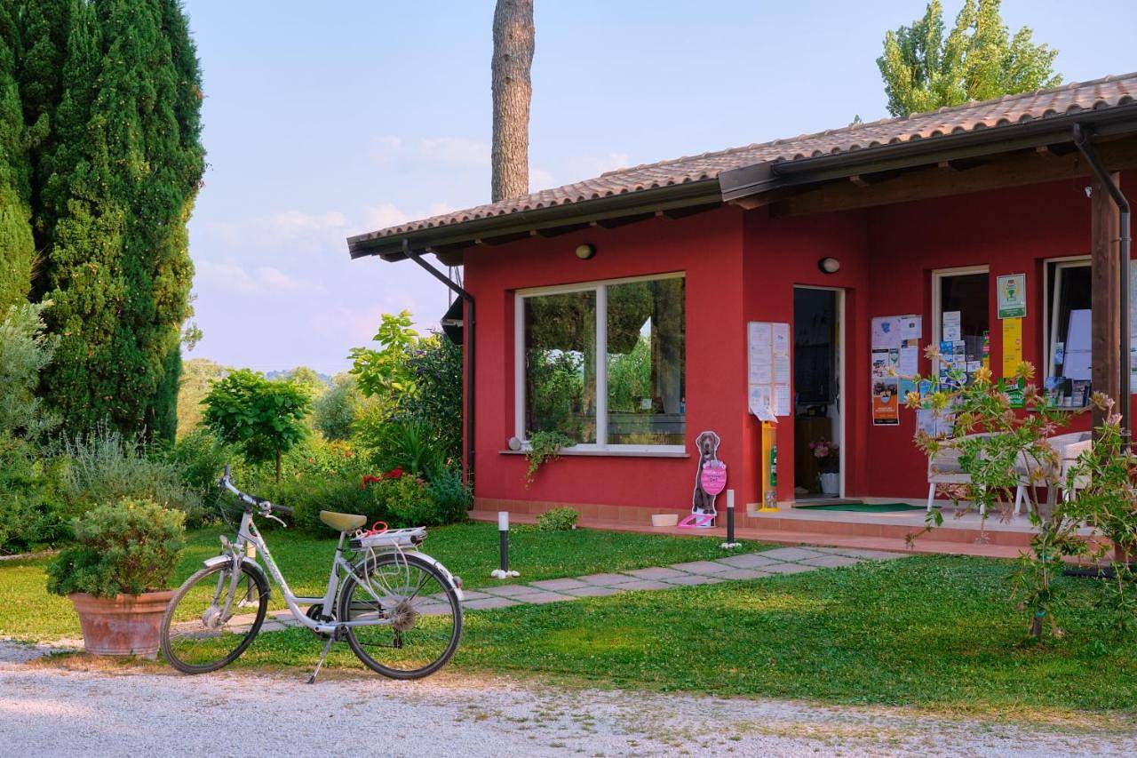 Camping Trasimeno in Passignano sul Trasimeno, Lago Trasimeno