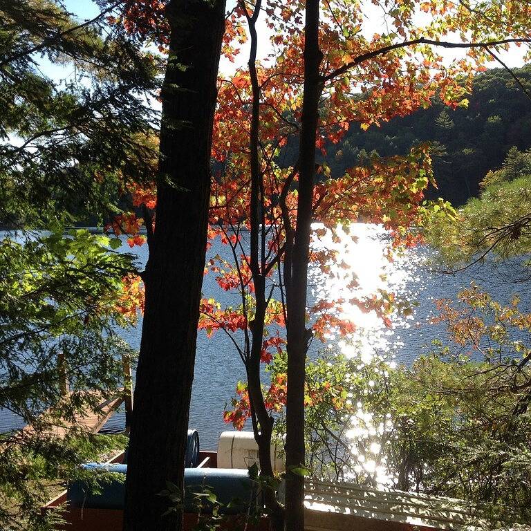 Ultimativer entspannender Urlaub in Rutland County