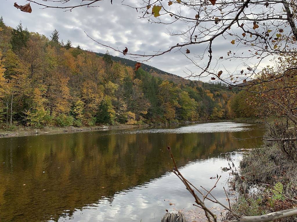 Modern private home 30 acres w/ pool, river, billiards, & near 4 ski mtns in Townshend, Windham County