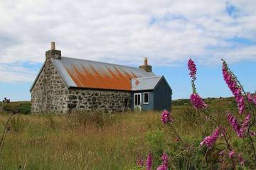 Log Cabin for 5 People in Isle of Mull, Inner Hebrides, Photo 4