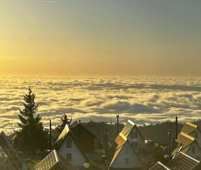 Chalé para 6 pessoas, com vista e jardim, com animais de estimação na Serra da Estrela