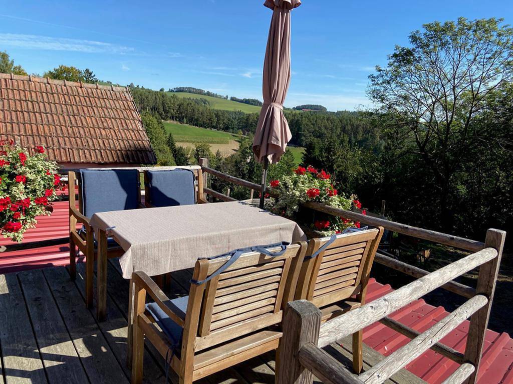 Ganze Wohnung, Haflingerhof Luef - Familienzimmer mit Küchenzeile in Bad Schönau, Wiener Alpen