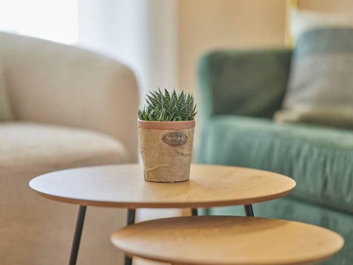 Ferienwohnung für 4 Personen, mit Garten, mit Haustier in Bernkastel-Kues