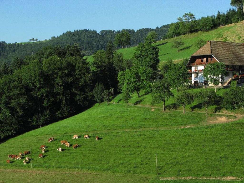 Hildegard Breig in Zell am Harmersbach, Kinzigtal