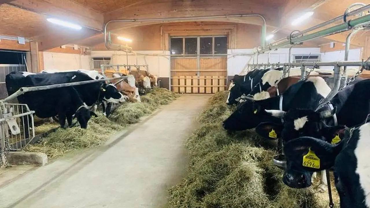 Ganze Ferienwohnung, Ferienwohnung für 5 Personen (90 m²) in Schwaz in Schwaz, Bezirk Schwaz
