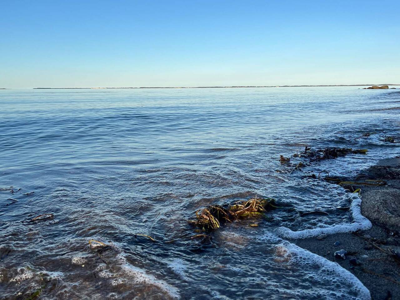 Luxus-Refugium von Hasmark in Otterup, Nord Fünen