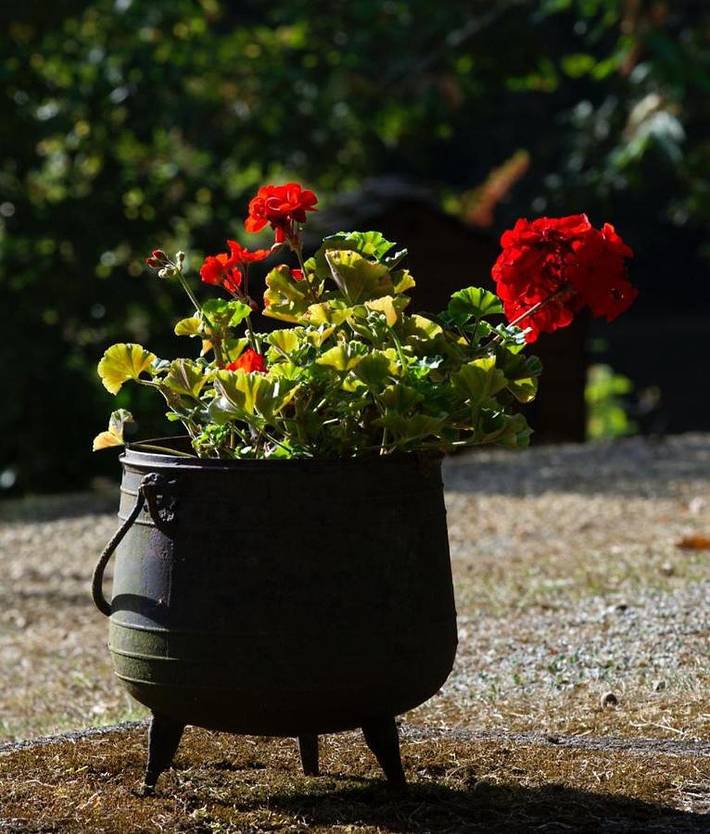 Location de vacances pour 4 personnes, avec vue ainsi que piscine et jardin à La Roque-Gageac - 4