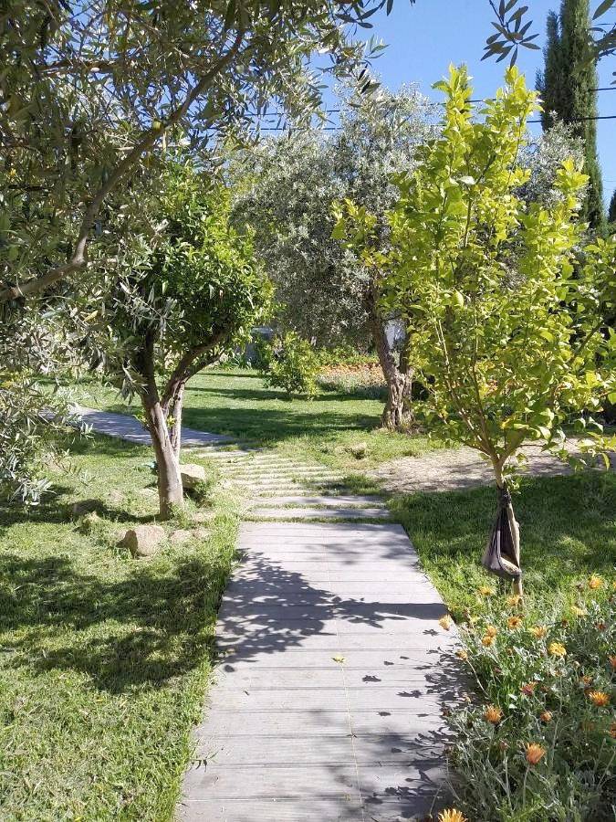 Maison de campagne pour 4 personnes, avec jardin ainsi que piscine et vue, animaux acceptés à Portalegre - 4