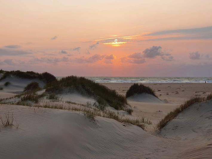 Ferienwohnung für 4 Personen, mit Terrasse auf Rømø - 3