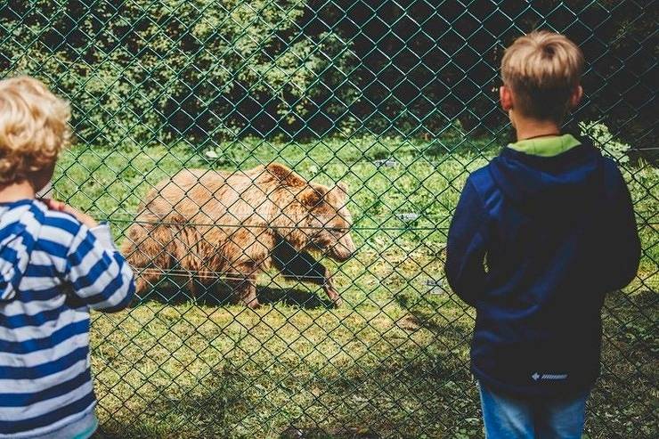 Ganze Ferienwohnung, Seeblick 4 in Stuer, Plauer See