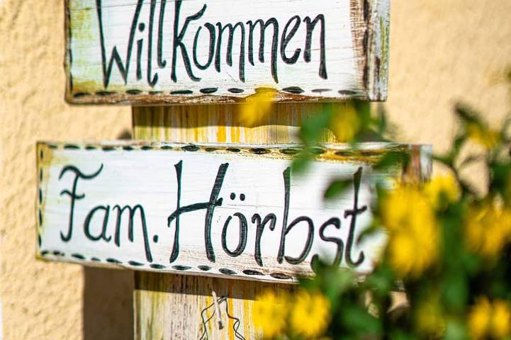 Ferienwohnung für 4 Personen, mit Balkon in Schattwald - 2