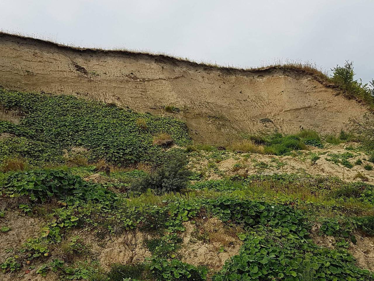 5 Personen Ferienhaus in Roslev-By Traum in Eskov Strandpark, Limfjord in Westjütland