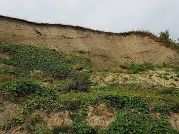 Ferieudlejning til 5 Personer i Skive Kommune, Limfjord in Westjütland, Billede 3