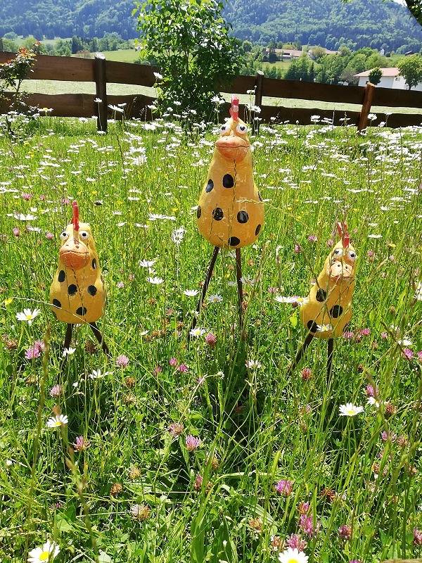 Ganze Ferienwohnung, Ferienwohnung Lackerschmid Lorenz - 5-Sterne Ferienwohnung mit Balkon und Blick in die Chiemgauer Berge in Bernau am Chiemsee, Chiemsee