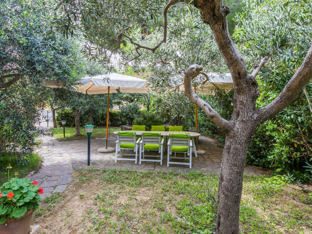Antico Frantoio in Castiglione della Pescaia, Provincia de Grosseto