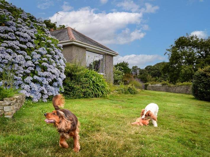Location de vacances pour 4 personnes, avec jardin, animaux acceptés dans Constantine - 4