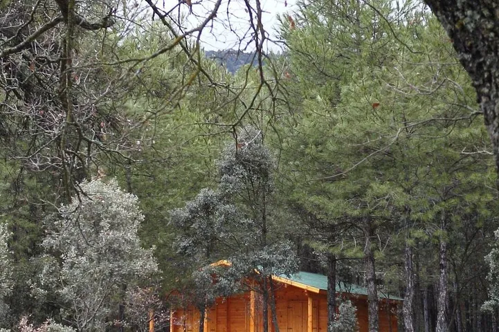 Blockhütte für 6 Personen - 1