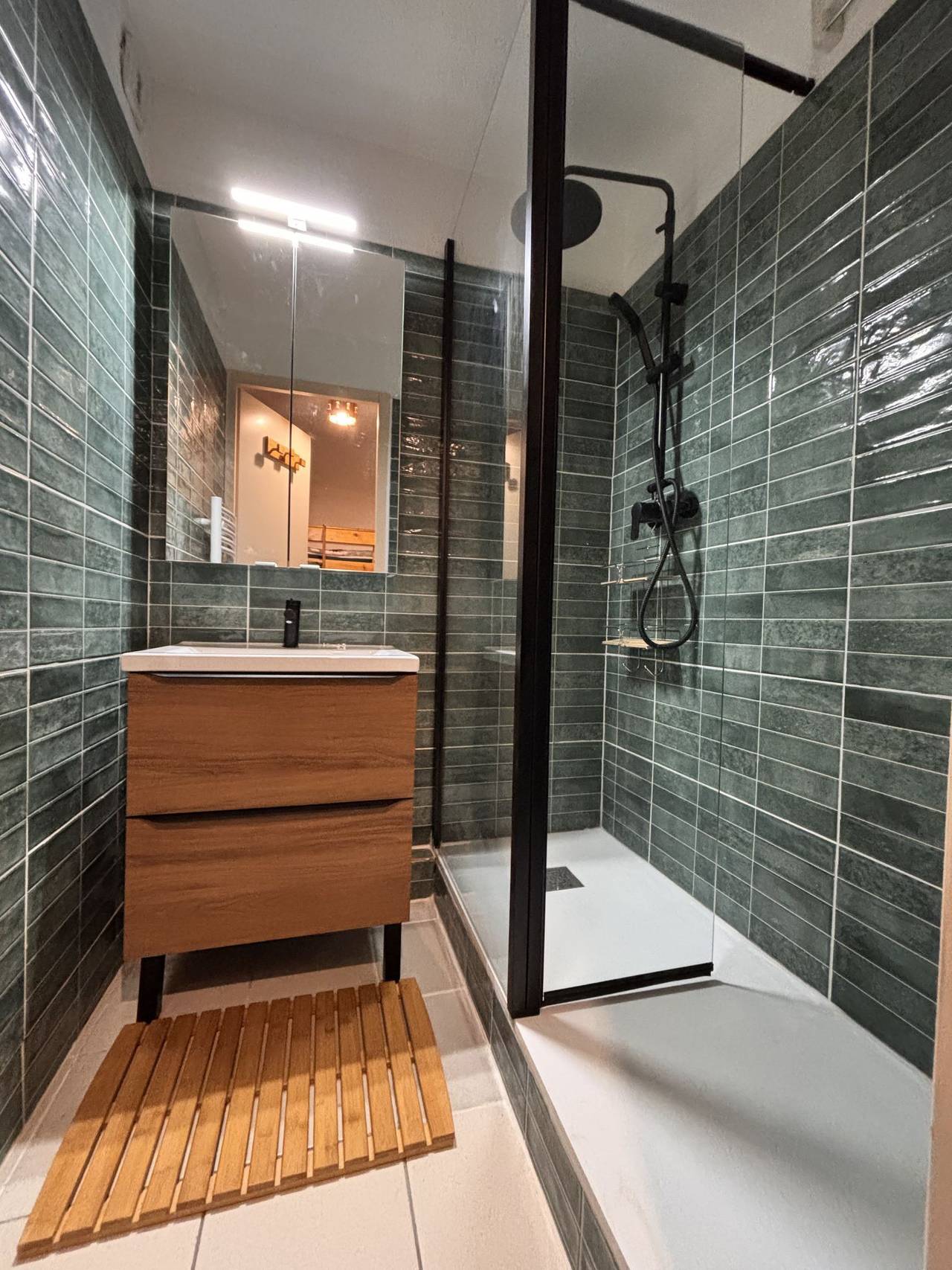 Appartement entier, La Grande Chaume in Mont-de-Lans, Les Deux Alpes