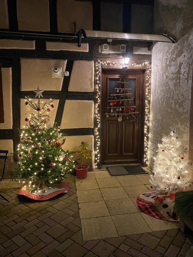 Gîte pour 10 personnes, avec vue ainsi que piscine et jardin, adapté aux familles à Horbourg-Wihr - 4