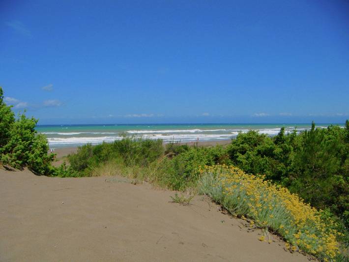 Ferienhaus für 4 Personen, mit Garten in Castagneto Carducci - 2