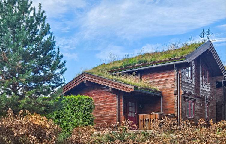 Feriehus for 6 personer, med hage og terrasse i Vrådal