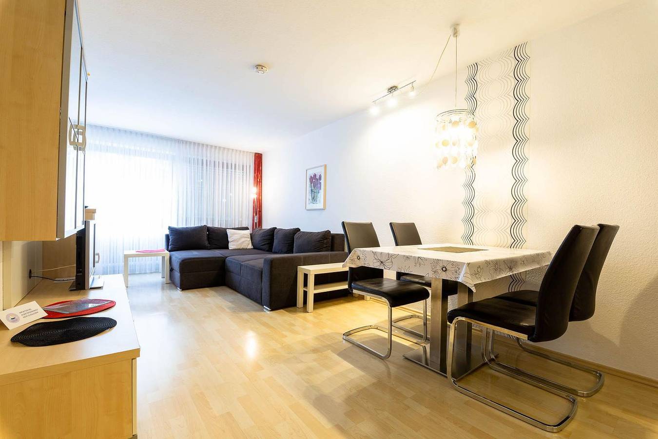 Ganze Wohnung, 2-Zimmer-Apartment (Typ 3) in Immenstaad am Bodensee, Region Bodensee-Oberschwaben