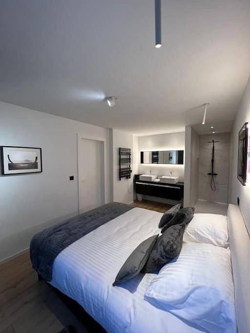 Appartement entier, One-Bedroom Apartment in Mons (Hennegau), Hainaut