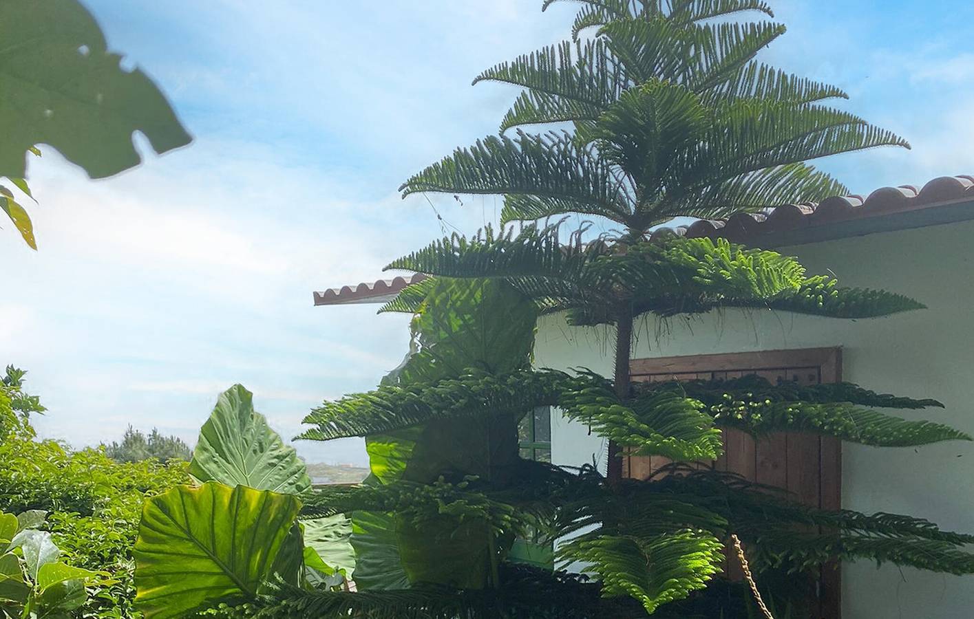 Appartement confortable avec vue sur la mer et piscine à Firgas – À proximité des restaurants et du centre-ville in Firgas, Grande Canarie du Nord