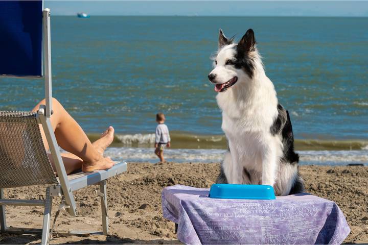 Casa vacanza per 4 persone, con terrazza e piscina - 1