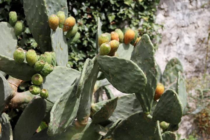 Appartamento per 5 persone, con Balcone e Giardino nonché Piscina a Olgiate Comasco