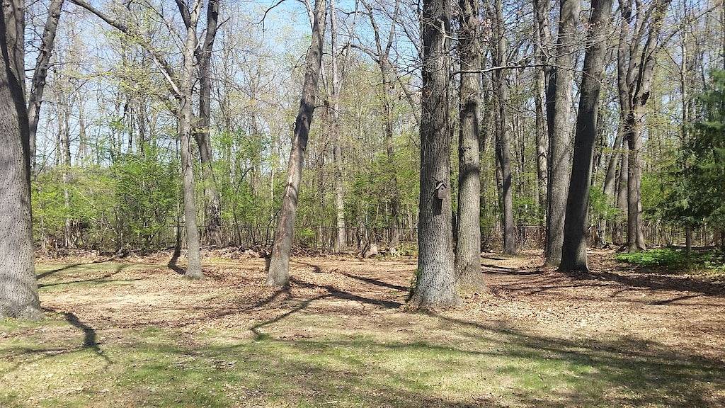 Ein Heiligtum, nur 12 Minuten von Detroit entfernt in Southfield, Oakland County